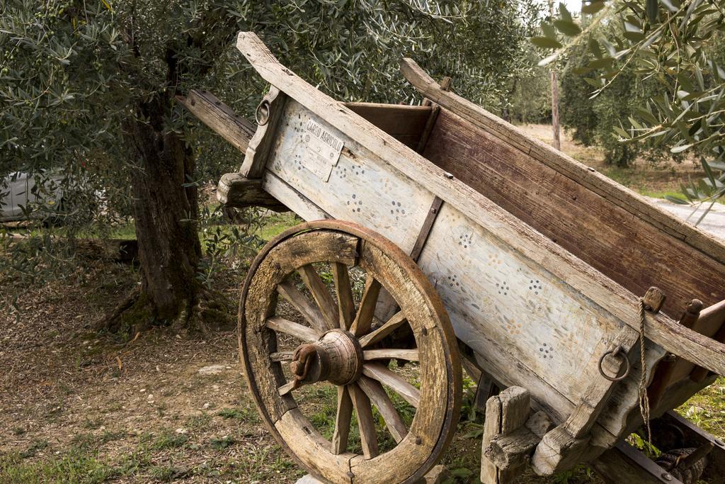 Agriturismo La Romagnana ピストイア エクステリア 写真