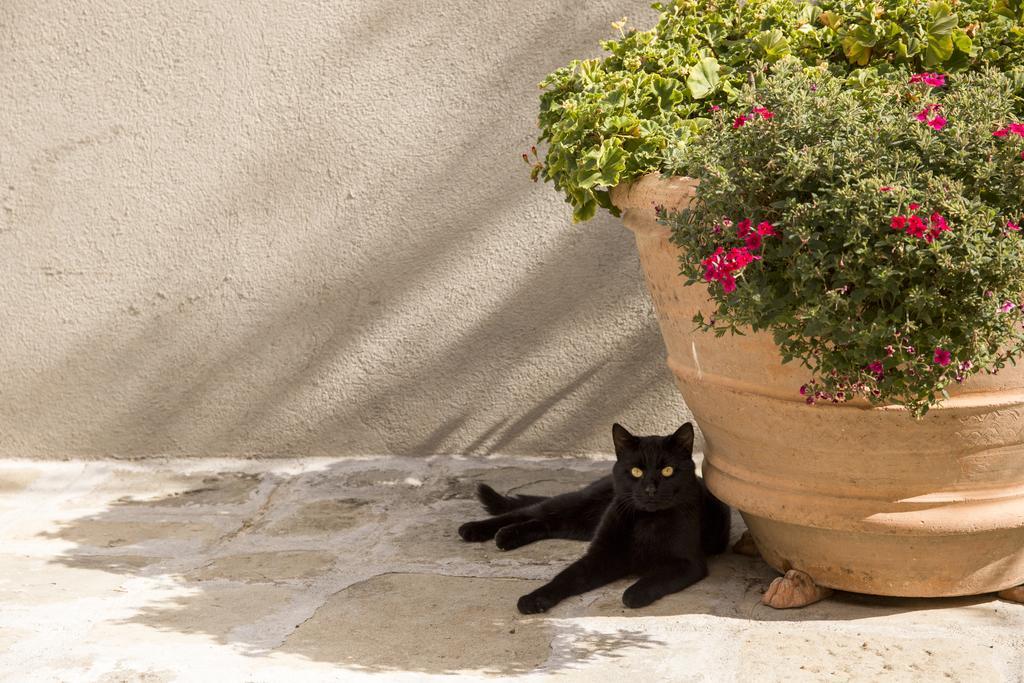 Agriturismo La Romagnana ピストイア エクステリア 写真